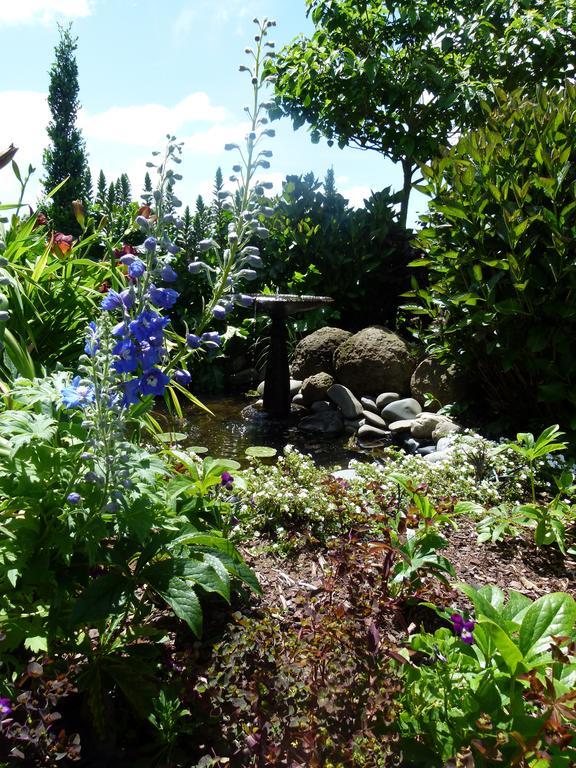 Hadleigh Boutique Lodge Tamahere Екстериор снимка