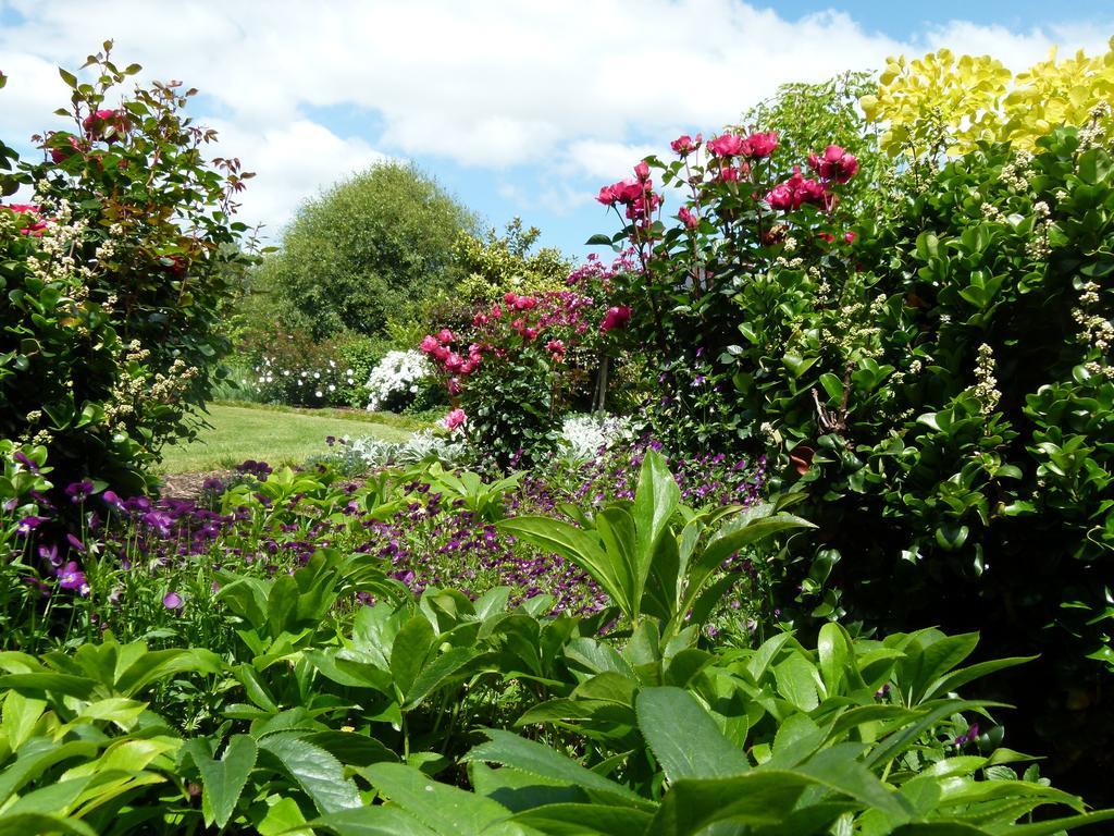 Hadleigh Boutique Lodge Tamahere Екстериор снимка