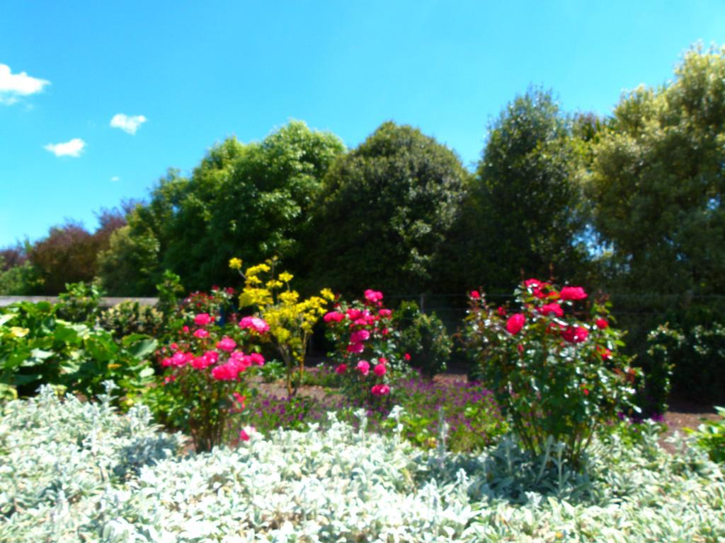 Hadleigh Boutique Lodge Tamahere Екстериор снимка